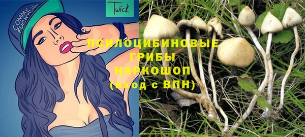 винт Арсеньев