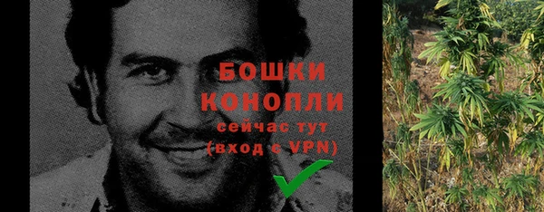шишки Баксан