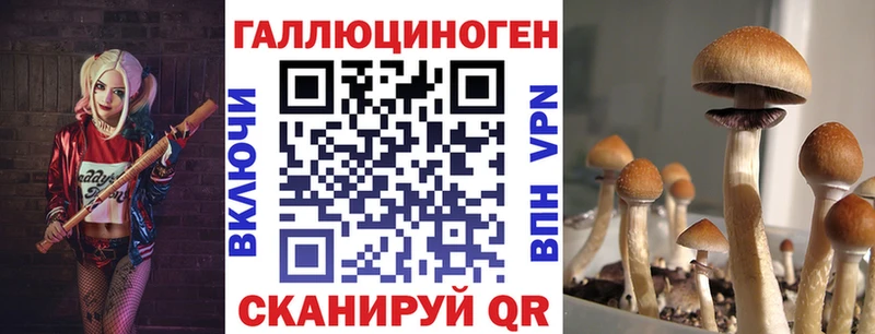 Псилоцибиновые грибы Magic Shrooms Володарск
