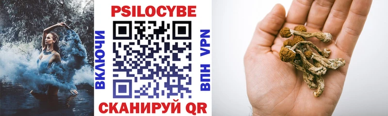 Галлюциногенные грибы GOLDEN TEACHER  Володарск 